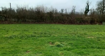 Lison Terrain à bâtir - 2417324-11660annonce52026020358lFu.jpeg Maisons France Confort