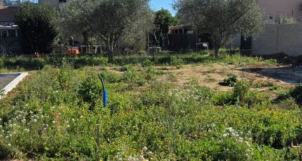 La Crau Terrain à bâtir - 2457666-11077annonce120260316Q6rhq.jpeg Maisons France Confort