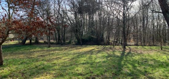 Terrain à bâtir à Louchats, Nouvelle-Aquitaine
