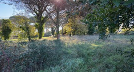 Langon Terrain à bâtir - 2458152-10677annonce120260316Jt3Tq.jpeg Maisons France Confort