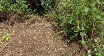 Prévessin-Moëns Terrain à bâtir - 2458096-11023annonce220260316RnElS.jpeg Maisons France Confort