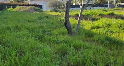 Hyères Maison neuve - 2458168-11077annonce120260316C9H3T.jpeg Maisons France Confort