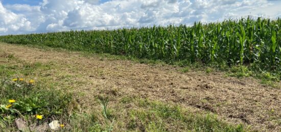 Terrain à bâtir à , Pas-de-Calais