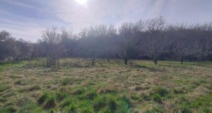 Orgnac-l'Aven Maison neuve - 2458072-5100annonce120260316mzGGW.jpeg Maisons France Confort