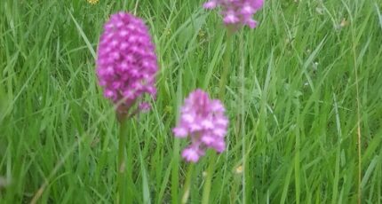 Touffreville Maison neuve - 2458323-9835annonce120260316SEDl2.jpeg Maisons France Confort