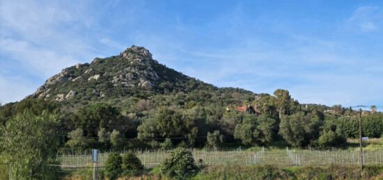 Terrain à bâtir à Hyères, Provence-Alpes-Côte d'Azur