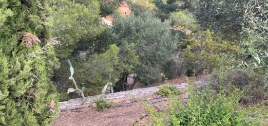 Maison neuve à , Var