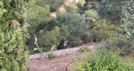 La Cadière-d'Azur Maison neuve - 2458388-9599annonce120260316XgpXy.jpeg Maisons France Confort