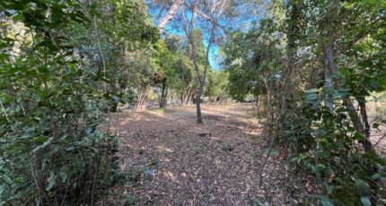 La Seyne-sur-Mer Maison neuve - 2458410-9599annonce120260316sFf4X.jpeg Maisons France Confort