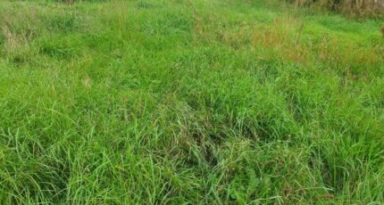 Saint-Genès-de-Fronsac Terrain à bâtir - 2445316-11015annonce120260302gSsZc.jpeg Maisons France Confort