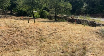 Taradeau Terrain à bâtir - 2456721-5922annonce120260313BmTZJ.jpeg Maisons France Confort