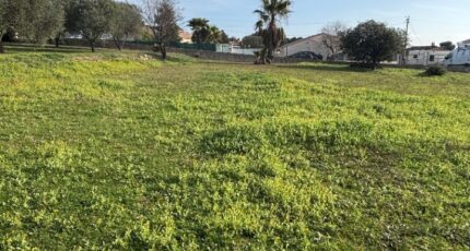 Puget-sur-Argens Maison neuve - 2458922-5826annonce220260121xVmt7.jpeg Maisons France Confort