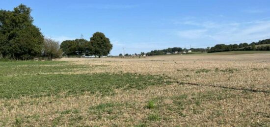 Terrain à bâtir à Béthon, Pays de la Loire