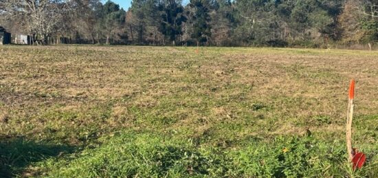Terrain à bâtir à Grignols, Nouvelle-Aquitaine