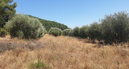 Puget-Ville Terrain à bâtir - 2459437-5622annonce1202603173JrSk.jpeg Maisons France Confort