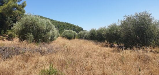 Terrain à bâtir à , Var
