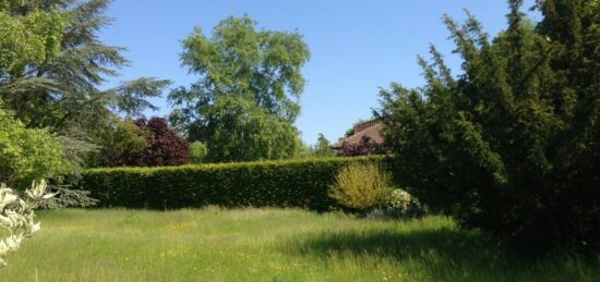 Terrain à bâtir à Garancières, Île-de-France