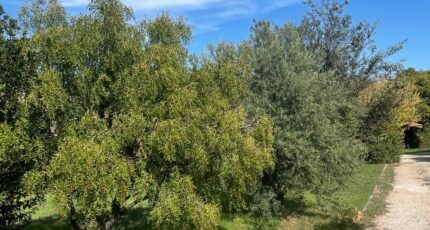 Fuveau Terrain à bâtir - 2390782-10271annonce420260113N4SuF.jpeg Maisons France Confort