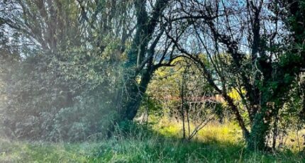 Aubagne Terrain à bâtir - 2390977-10271annonce120260113FEDxb.jpeg Maisons France Confort