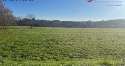 Casteljaloux Maison neuve - 2459666-9795annonce220260212QV4v2.jpeg Maisons France Confort