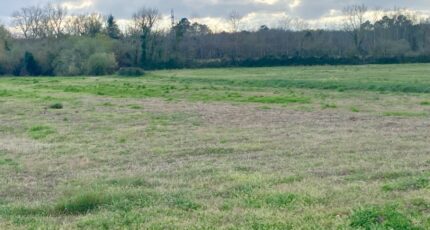 Podensac Terrain à bâtir - 2458511-11795annonce120260317PtBXb.jpeg Maisons France Confort