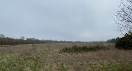 Pont-l'Abbé-d'Arnoult Terrain à bâtir - 2459795-11194annonce320260318gnybE.jpeg Maisons France Confort