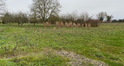 Champagne Terrain à bâtir - 2459820-11194annonce220260318pkfez.jpeg Maisons France Confort