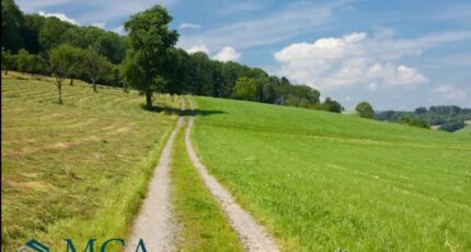 Beautiran Maison neuve - 2459950-11358annonce120260318Z2qWp.jpeg Maisons France Confort