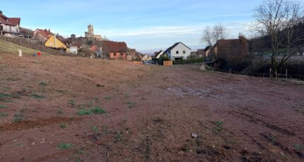 Katzenthal Maison neuve - 2392043-11028annonce320260114OEXOs.jpeg Maisons France Confort