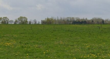 Aspach-le-Bas Maison neuve - 2391066-11139annonce120260113WRdFa.jpeg Maisons France Confort