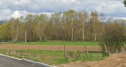 Dannemarie Maison neuve - 2391104-11139annonce120260113tJxen.jpeg Maisons France Confort