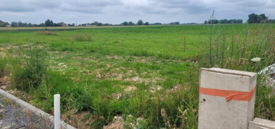 Terrain à bâtir à Staple, Hauts-de-France