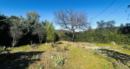 Le Thoronet Maison neuve - 2460772-4529annonce320260318RlnrK.jpeg Maisons France Confort