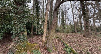 Saint-Pierre-lès-Nemours Terrain à bâtir - 2460991-1635annonce320260318rUtTQ.jpeg Maisons France Confort