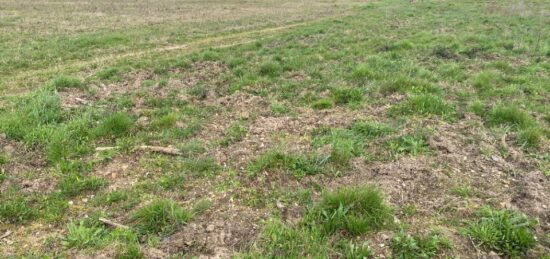 Terrain à bâtir à Langon, Nouvelle-Aquitaine