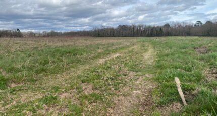 Langon Terrain à bâtir - 2460140-11795annonce320260318Zudxt.jpeg Maisons France Confort