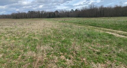 Langon Maison neuve - 2460216-11795annonce220260318enb9A.jpeg Maisons France Confort