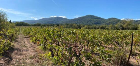 Terrain à bâtir à Le Castellet, Provence-Alpes-Côte d'Azur