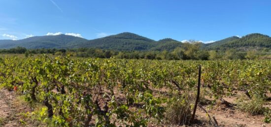 Terrain à bâtir à , Var