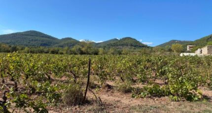 Le Castellet Terrain à bâtir - 2461390-5622annonce320260319cd5ST.jpeg Maisons France Confort