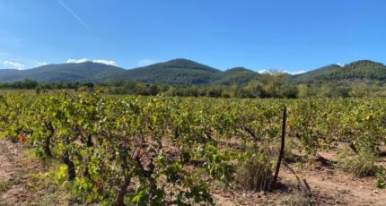 Le Castellet Maison neuve - 2461395-5622annonce2202603191ICg2.jpeg Maisons France Confort