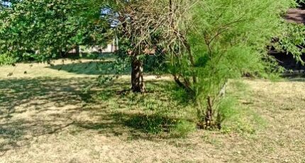 Tournefeuille Maison neuve - 2459580-10327annonce120260317QJAJU.jpeg Maisons France Confort