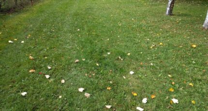 Moissy-Cramayel Terrain à bâtir - 2393513-11705annonce320260213GAzpB.jpeg Maisons France Confort