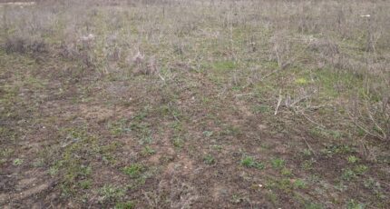 Nemours Terrain à bâtir - 2429198-11705annonce420260213quIWz.jpeg Maisons France Confort