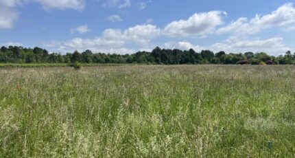 Bazas Maison neuve - 2391933-11273annonce1202601145oSyI.jpeg Maisons France Confort