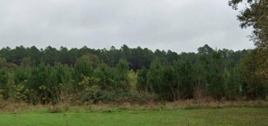 Terrain à bâtir à Préchac, Nouvelle-Aquitaine