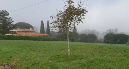 Saint-Jean Maison neuve - 2461015-5202annonce320260318SmW7R.jpeg Maisons France Confort