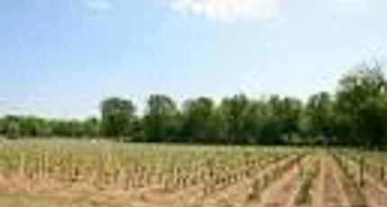 Cérons Terrain à bâtir - 2462026-3127annonce120251126Q0747.jpeg Maisons France Confort