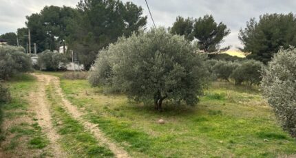 Saint-Chamas Terrain à bâtir - 2461479-11837annonce120260319d32OJ.jpeg Maisons France Confort