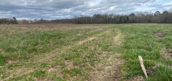 Terrain à bâtir à Langon, Nouvelle-Aquitaine